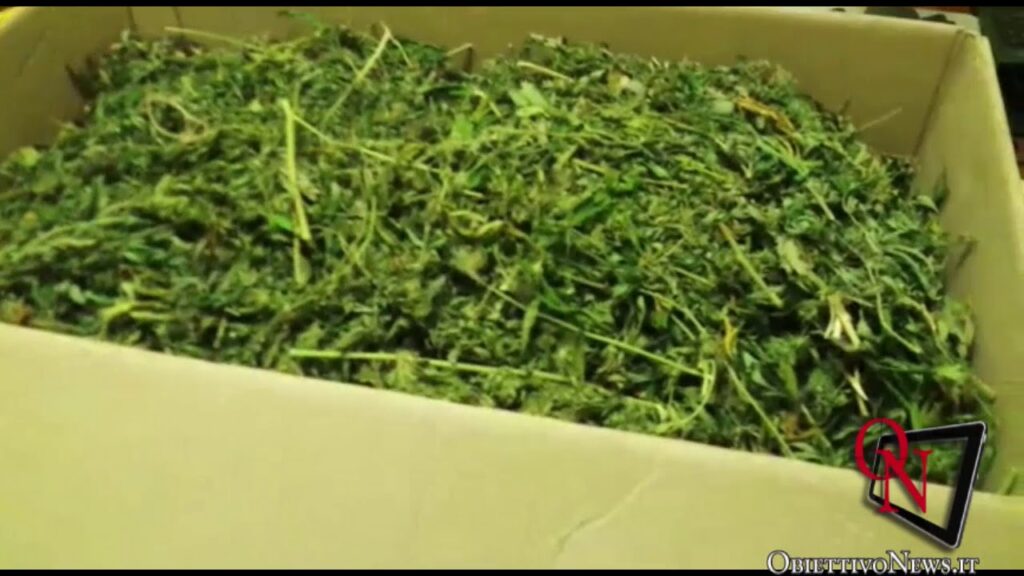 CUORGNÈ - Due chili di marijuana in casa: arrestato (VIDEO)