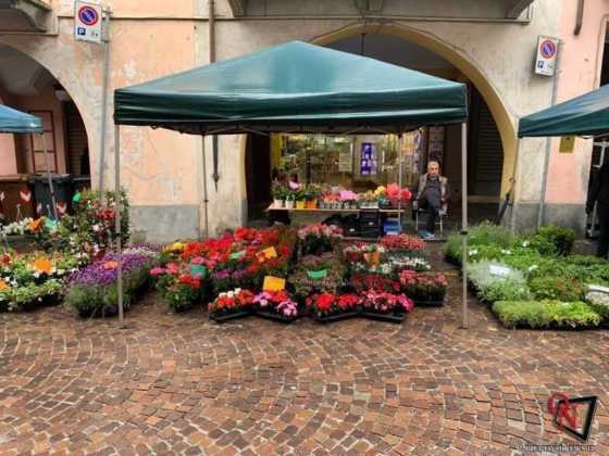 Cirie in fiore 2019 43