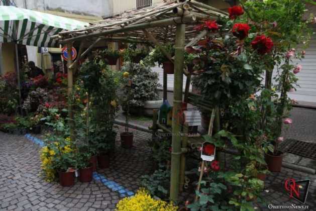 Cirie in fiore 2019 5