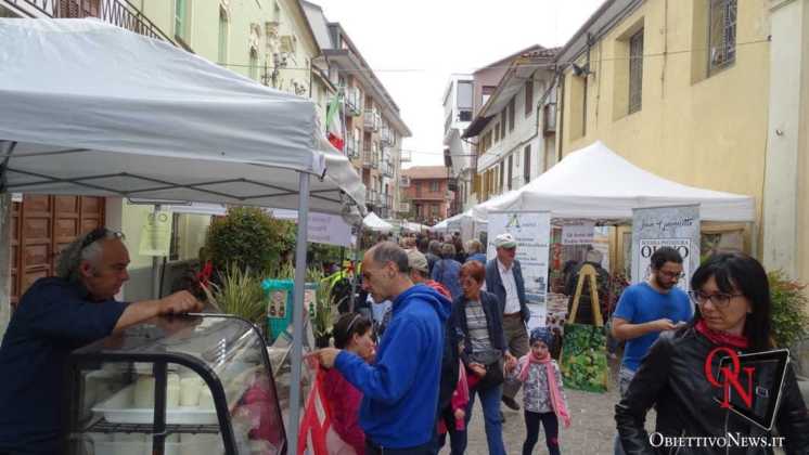 San Giorgio Mercato terra Indigena 16