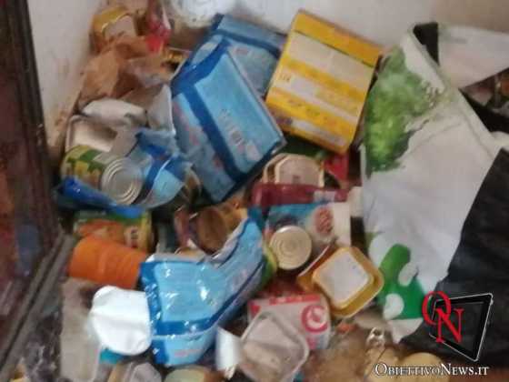 Torino gattara denunciata 2