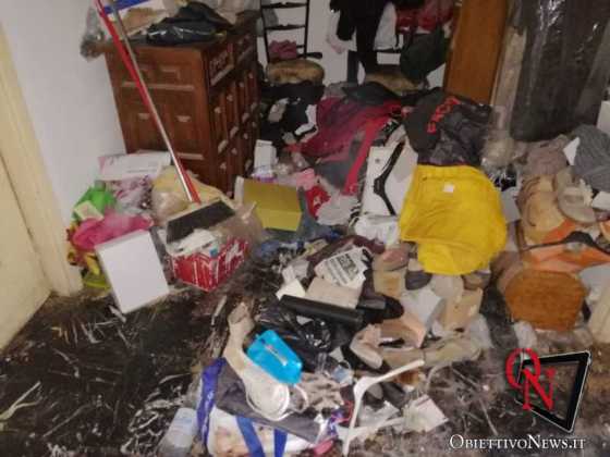 Torino gattara denunciata 5