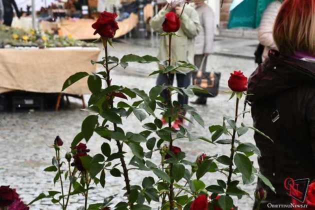 Venaria Festa delle Rose 2019 Sabato 2
