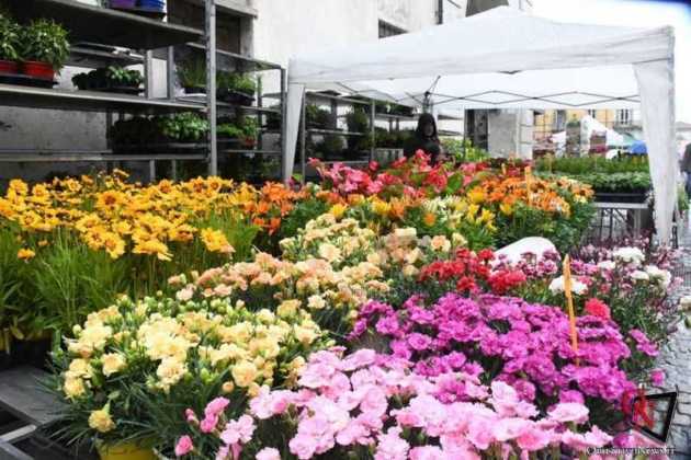 Venaria Festa delle Rose 2019 Sabato 4