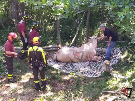 Cantoira recupero cavallo 1