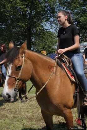 San Francesco Festa del Cavallo 2019 11