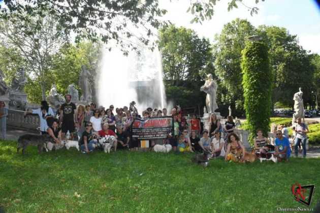 Torino Passeggiata a 6 zampe 1