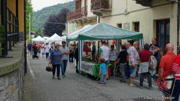Vistrorio Pietra legno ferro 2019 10