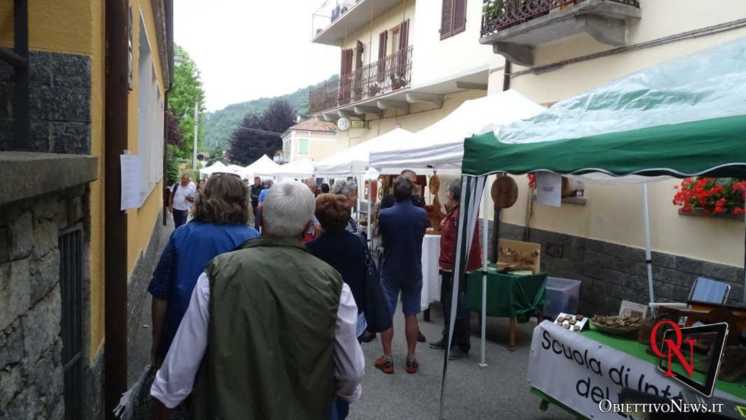 Vistrorio Pietra legno ferro 2019 20