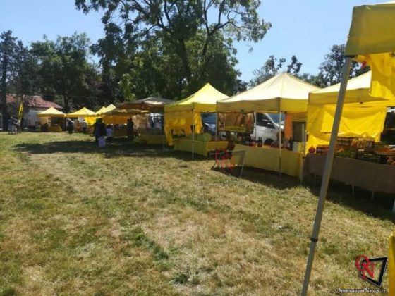 Rivarolo San Giacomo 2019 Fiera Agricola 9