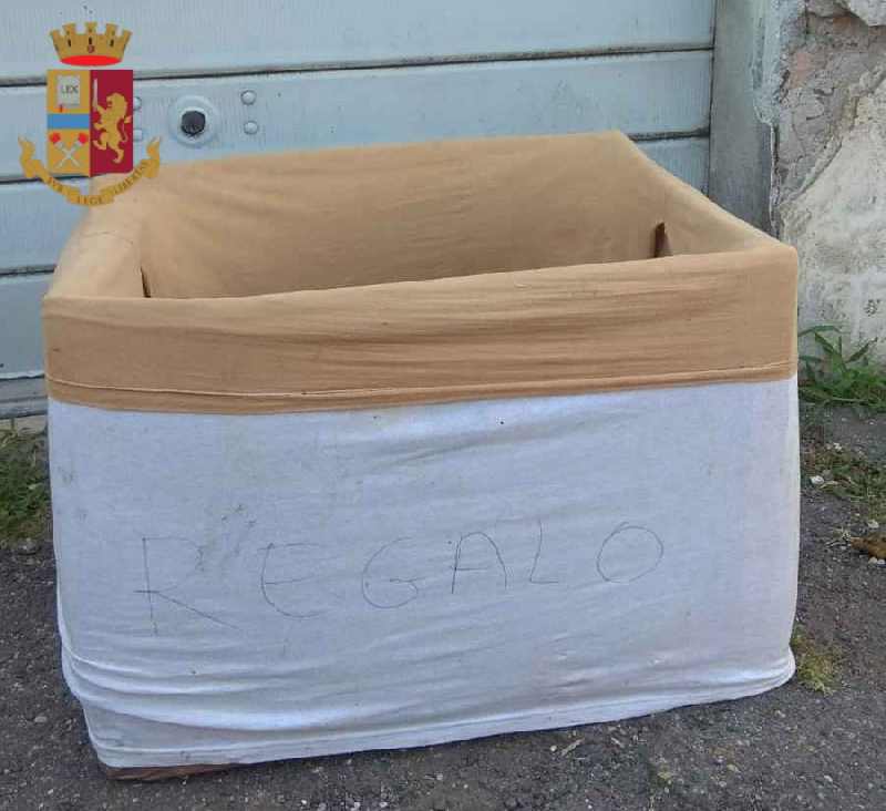 ROMA – Abbandonano 5 cuccioli in uno scatolone con la scritta “regalo” 2 ROMA – Abbandonano 5 cuccioli in uno scatolone con la scritta “regalo”