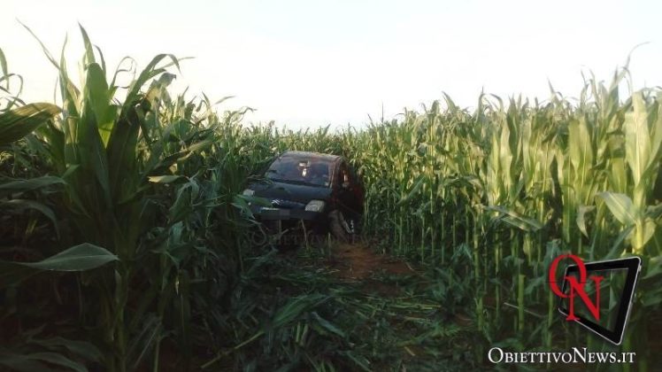 favria auto nel campo di granturco