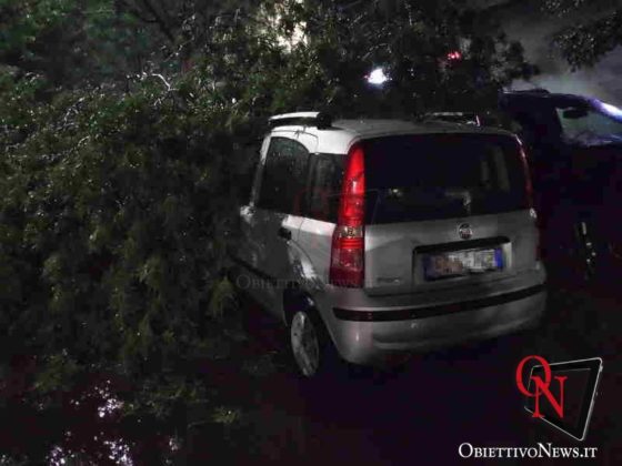 maltempo torino corso verona 2