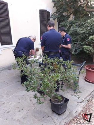 Moncalieri Cani Maltenuti 9