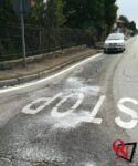 Ozegna liquido oleoso su strada 8