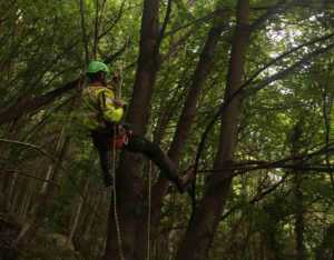 BROSSO – Recuperato pilota parapendio rimasto appeso ad un albero