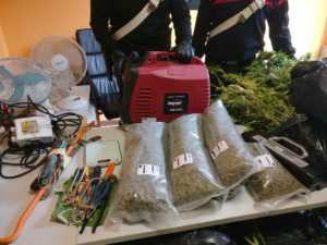 GASSINO – Occupano una cascina e la usano per la coltivazione e produzione di marijuana (VIDEO)
