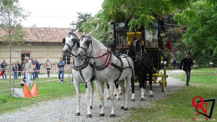 Rivarolo Canavese 3 concorso internazionale attacchi di tradizione 10