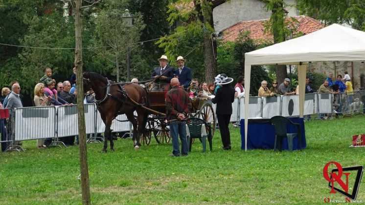 Rivarolo Canavese 3 concorso internazionale attacchi di tradizione 3