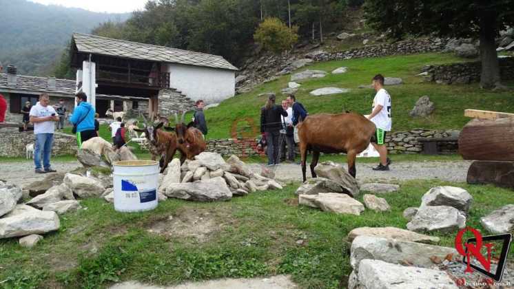Alpette Ritiro Mastini del Canavese 2019 23