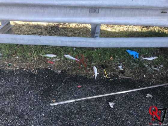 COLLEGNO INCIDENTE TANGENZIALE NORD 8