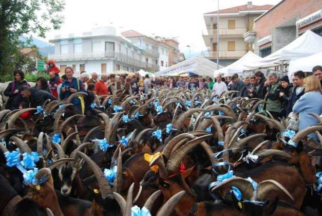 Festa Rurale Cevrin Coazze 2019 2 Res