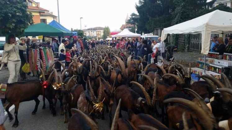 Festa Rurale Cevrin Coazze 3 Res
