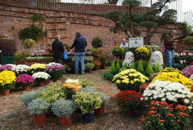 Fiorile Moncalieri repertorio 10