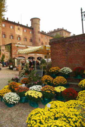 Fiorile Moncalieri repertorio 3