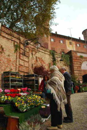 Fiorile Moncalieri repertorio 4