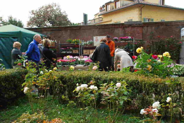 Fiorile Moncalieri repertorio 6