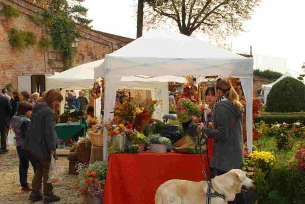 Fiorile Moncalieri repertorio 8
