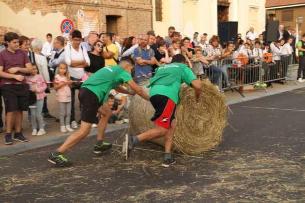 san francesco patronale 1 Res