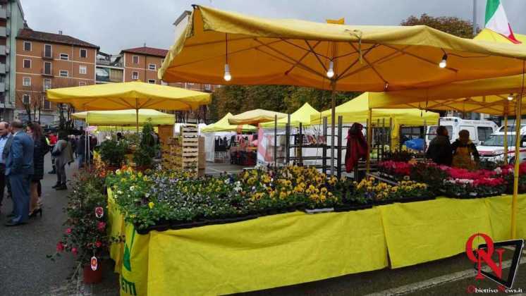 Cuorgne San Martino 2019 2
