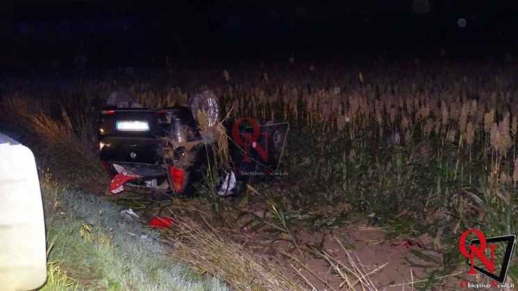 Rivarolo Canavese 460 Incidente con cinghiale 2