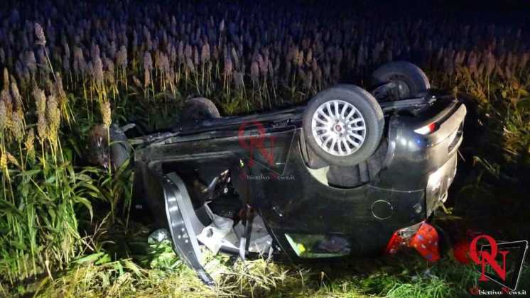 Rivarolo Canavese 460 Incidente con cinghiale 5