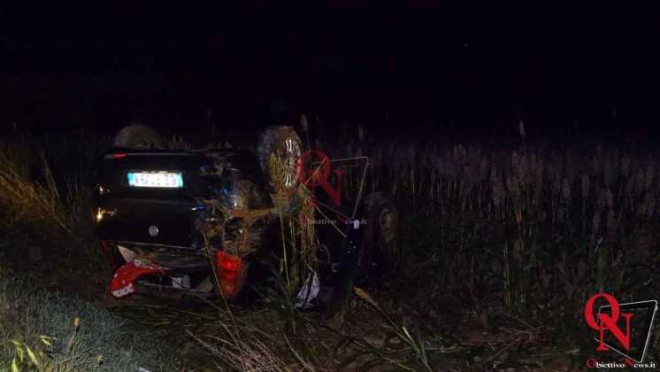 Rivarolo Canavese 460 Incidente con cinghiale 8