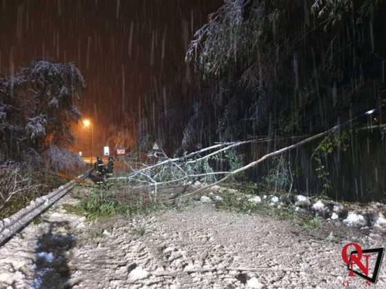 Valle Orco alberi su strada con neve 8 Res