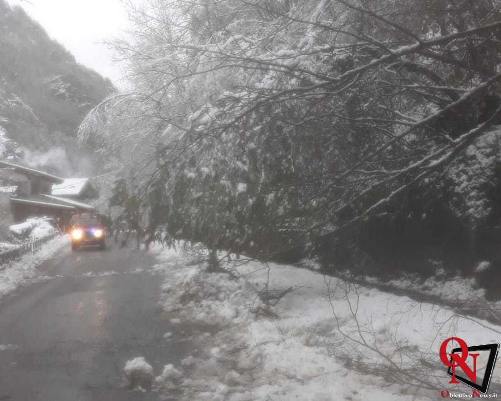 VALLE SOANA – Diversi alberi caduti tra Ingria e Ronco; disagi per circolazione e interruzione di corrente elettrica (FOTO)