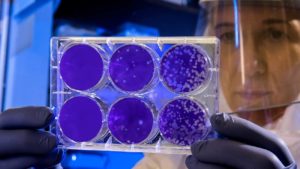 CORONAVIRUS – 45 casi in Canavese; altri 3 comuni tornano Covid-free 1 CORONAVIRUS – 45 casi in Canavese; altri 3 comuni tornano Covid-free