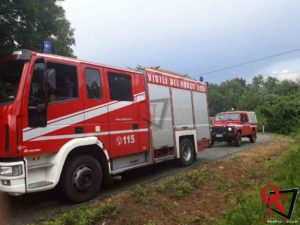 CANAVESE – Alberi caduti e pericolanti a Baldissero, Strambinello e in altre zone del territorio (FOTO)