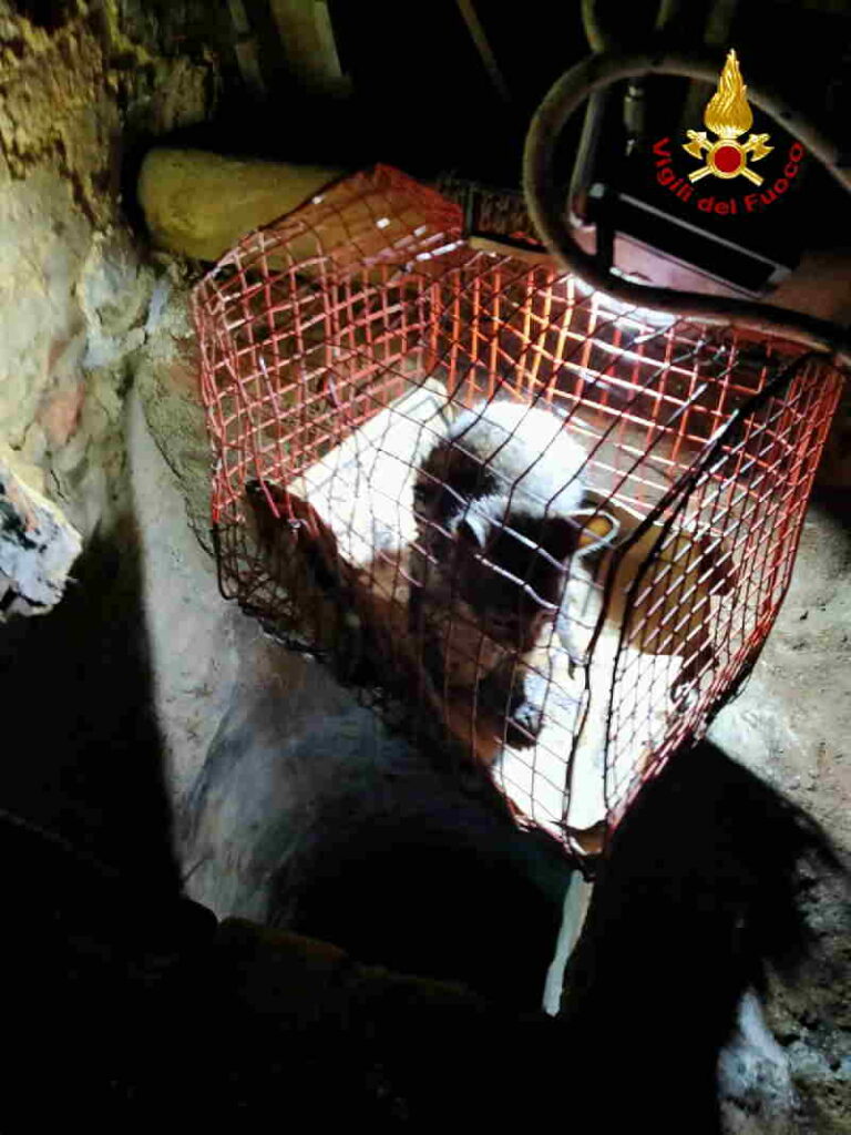 ASTI – Vigili del Fuoco recuperano un gatto in un pozzo a Moncucco (FOTO)