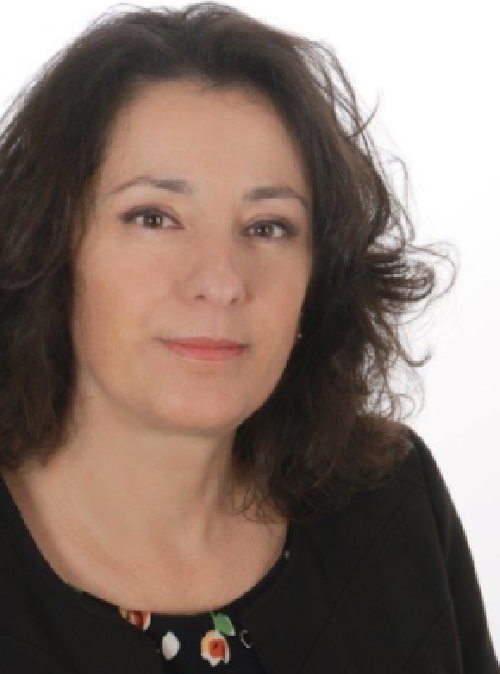INTERVISTA ALLA DOTTORESSA CRISTINA COSTANTINO, PRESIDENTE DEL GRUPPO ODCEC AREA LAVORO 1 INTERVISTA ALLA DOTTORESSA CRISTINA COSTANTINO, PRESIDENTE DEL GRUPPO ODCEC AREA LAVORO