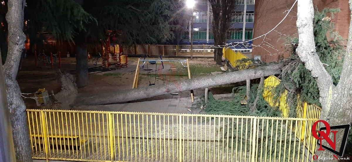 CIRIÈ – Crolla un albero nel parco giochi di via Trento; intervento dei VVF Volontari di San Maurizio Canavese (FOTO)