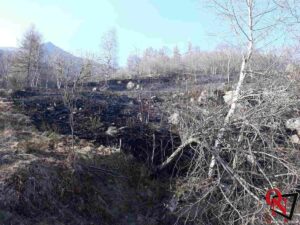 FRASSINETTO / BORGIALLO – Incendio boschivo ai piedi di Santa Elisabetta (FOTO)