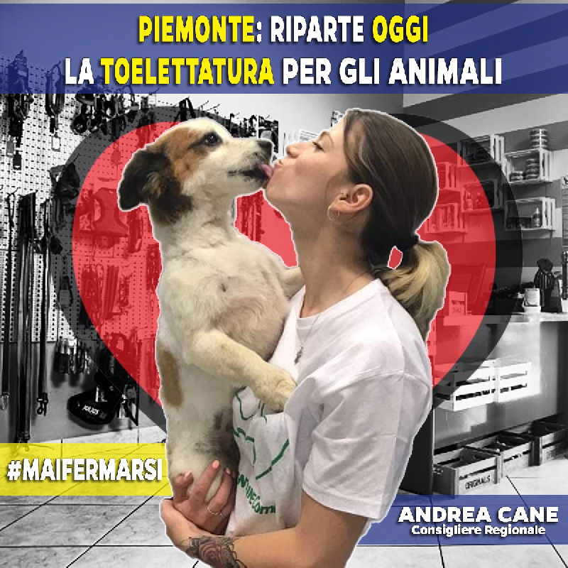 PIEMONTE – Da oggi riparte il servizio di toelettatura degli animali da compagnia 1 PIEMONTE – Da oggi riparte il servizio di toelettatura degli animali da compagnia