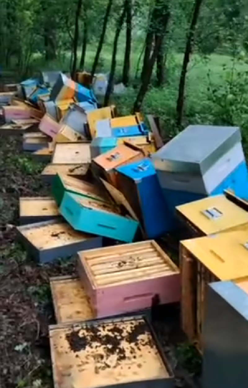 CANDIA CANAVESE – Con la colletta per aiutare l'apicoltore Mattia Landra, raccolti 53mila euro