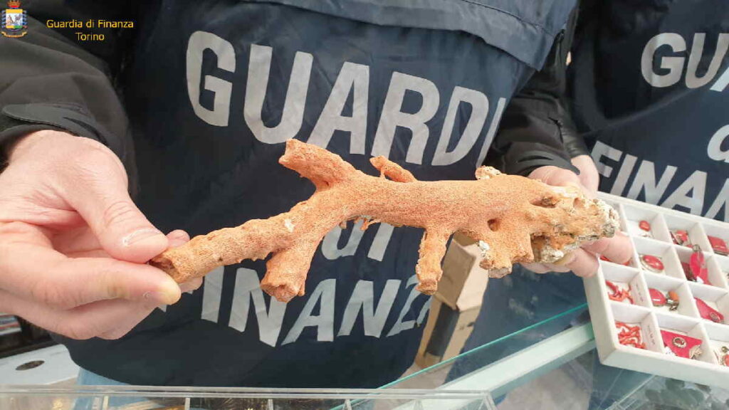 TORINO – La Guardia di Finanza sequestra oltre 10mila monili ottenuti da specie protette