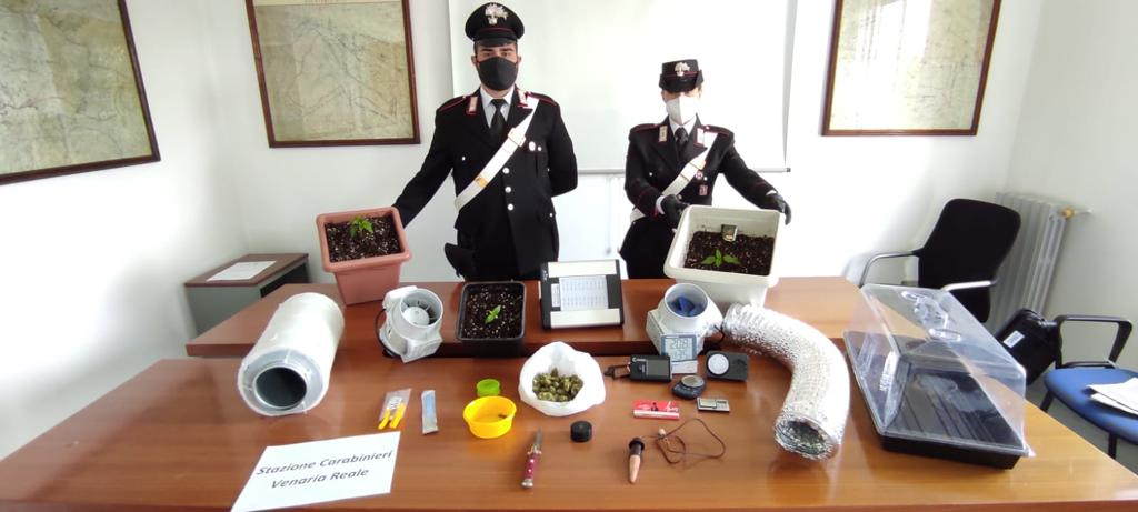 VENARIA REALE | TORINO – Tre persone arrestate per droga e rissa; chiuso un locale per 5 giorni