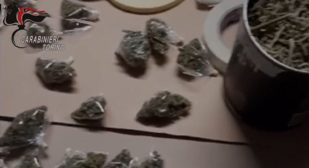 SAN MAURIZIO CANAVESE – Arrotondava lo stipendio vendendo marijuana 1 SAN MAURIZIO CANAVESE – Arrotondava lo stipendio vendendo marijuana